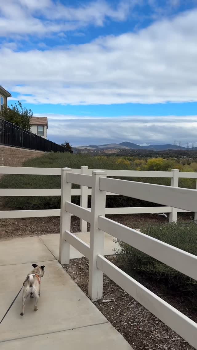 Post 8 by Anton Grebinchenko on Instagram (video)
