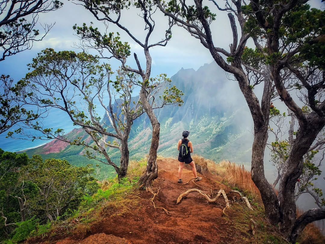 Post 7 by Kaley Nelson on Instagram (image)