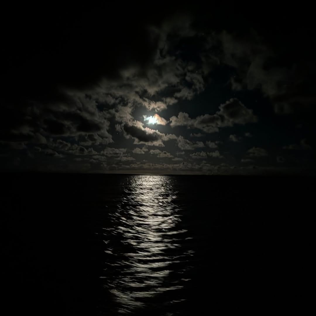 Post 5 by James Meeker on Instagram (image)