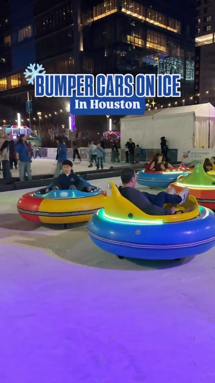 Post 5 by Danielle Dubois | Houston ✨ on Instagram (video)