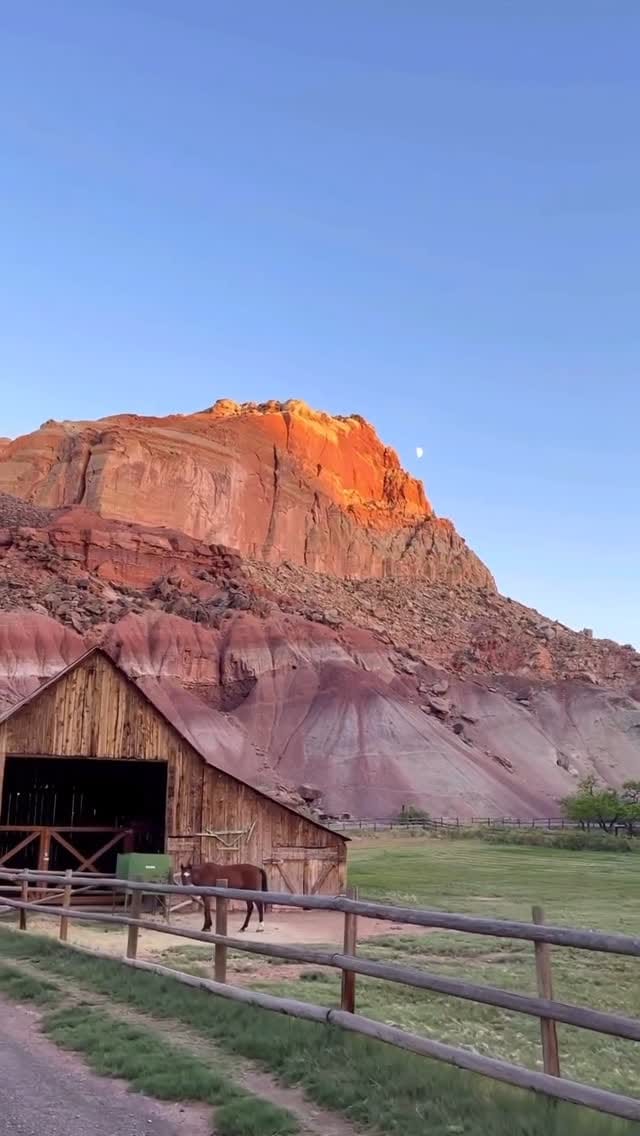 Post 6 by Laura Nielsen on Instagram (video)