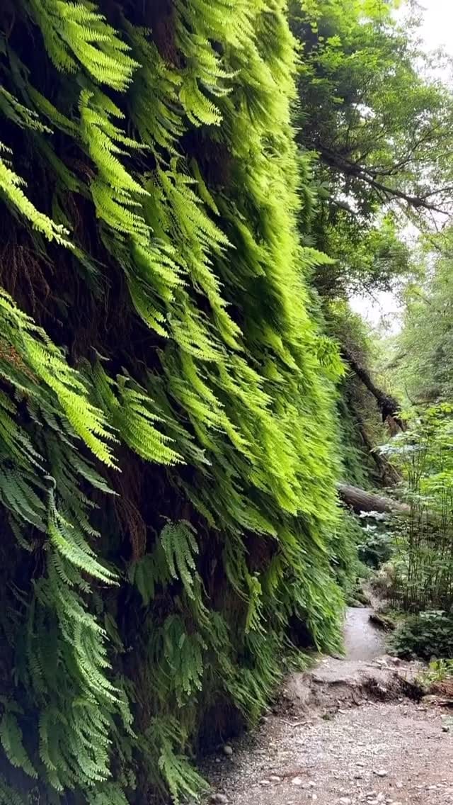 Post 4 by Laura Nielsen on Instagram (video)