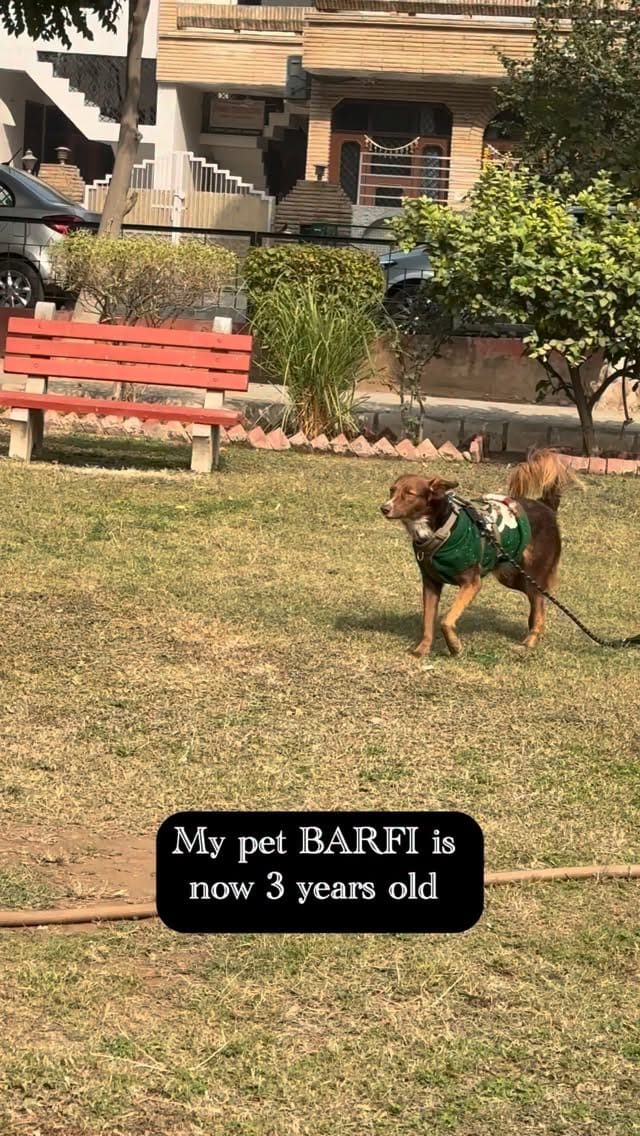 Post 2 by Neeru Saini on Instagram (video)
