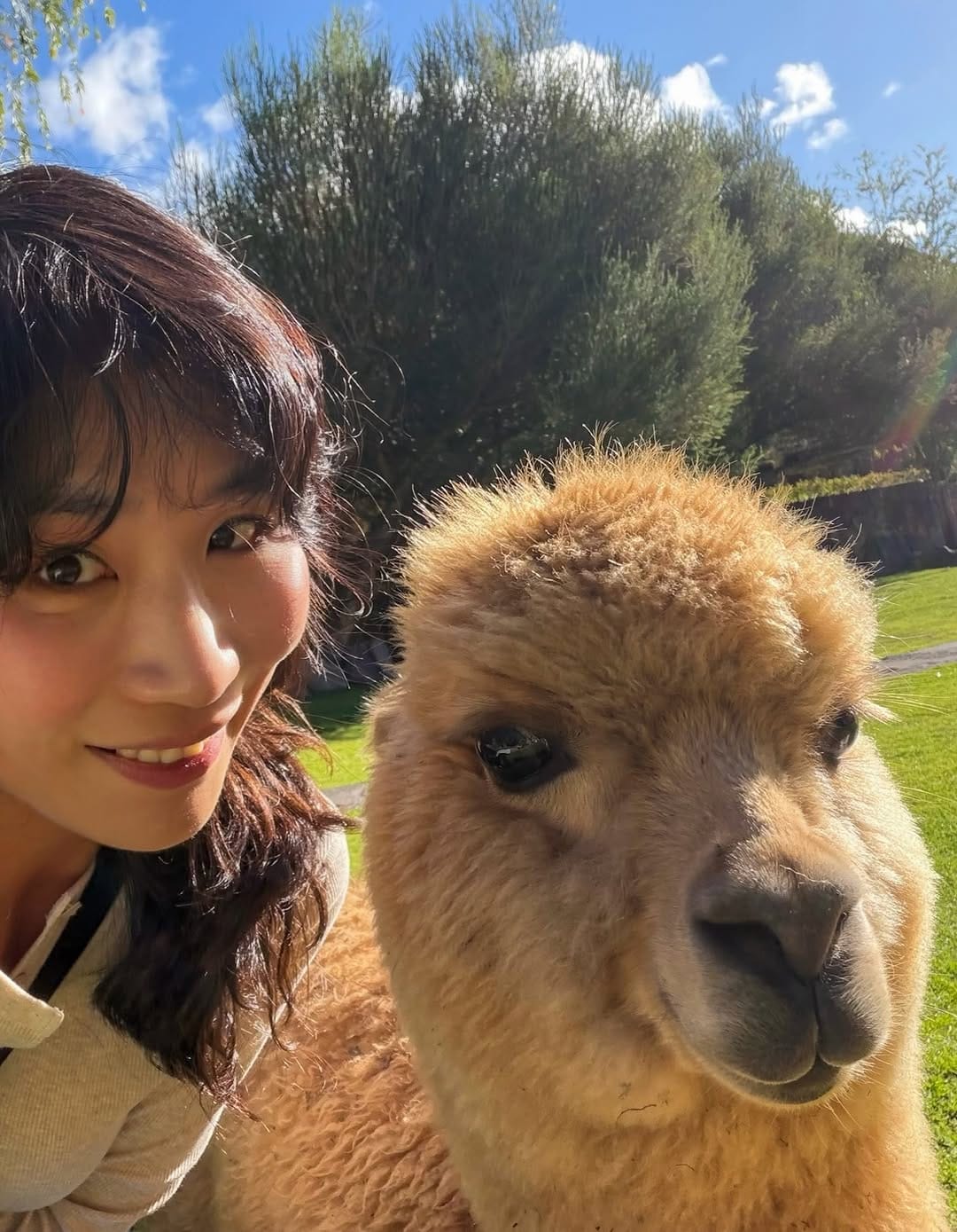 Post 3 by Hyesun on Instagram (carousel)