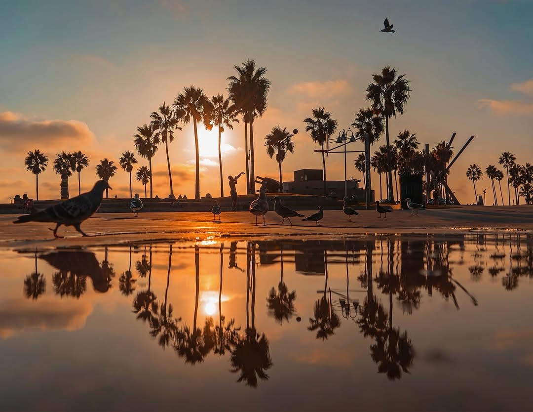 Post 4 by Kyle Huber on Instagram (carousel)