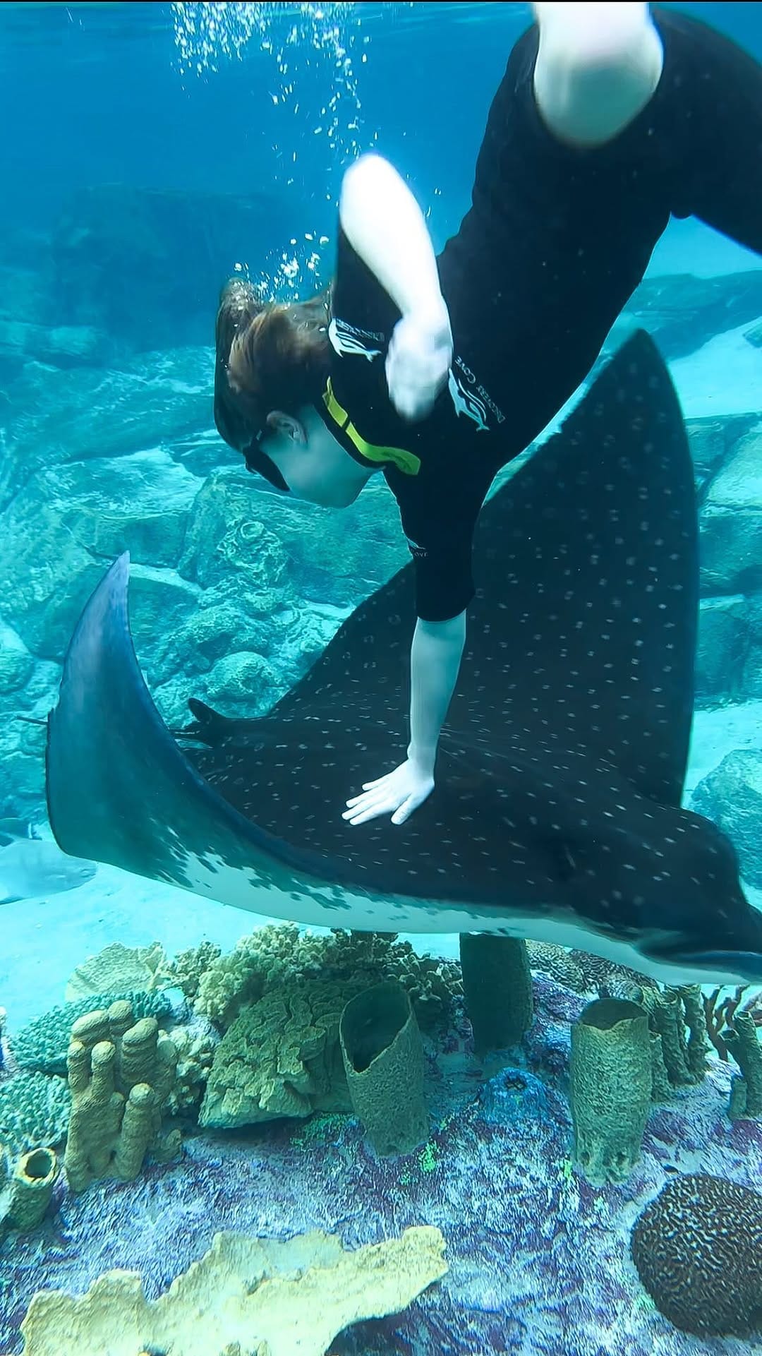 Post 10 by Dominique | Well Traveled Child on Instagram (video)