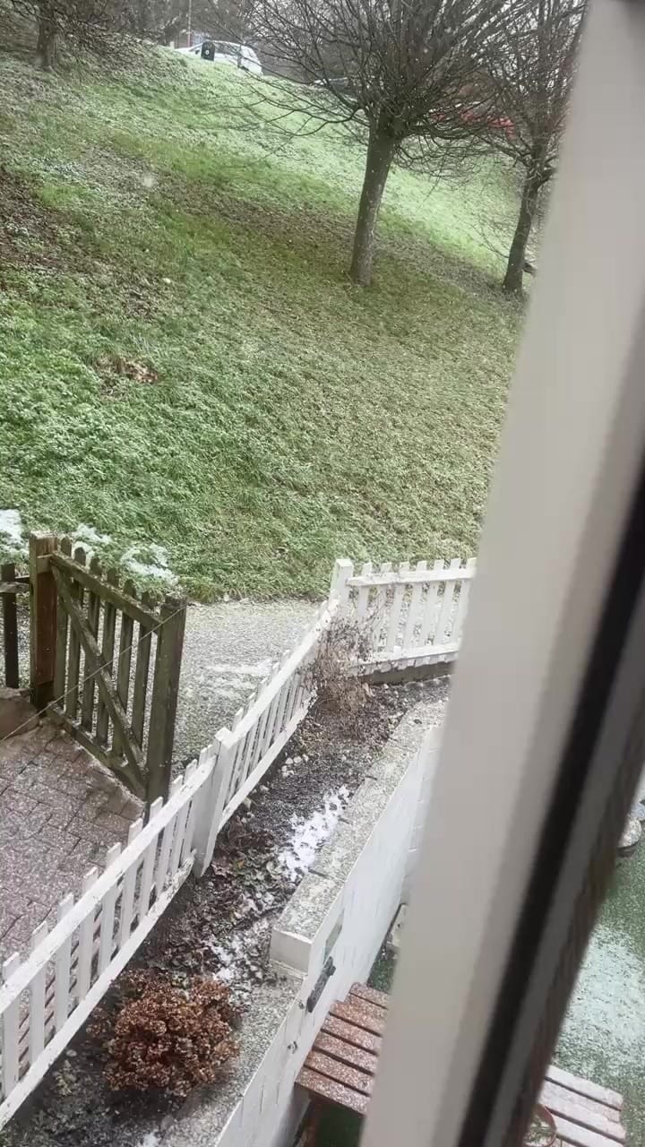 Post 5 by Genny Morgan on Instagram (video)