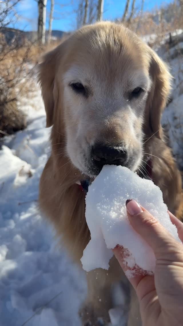Post 1 by Oakley & Honey on Instagram (video)