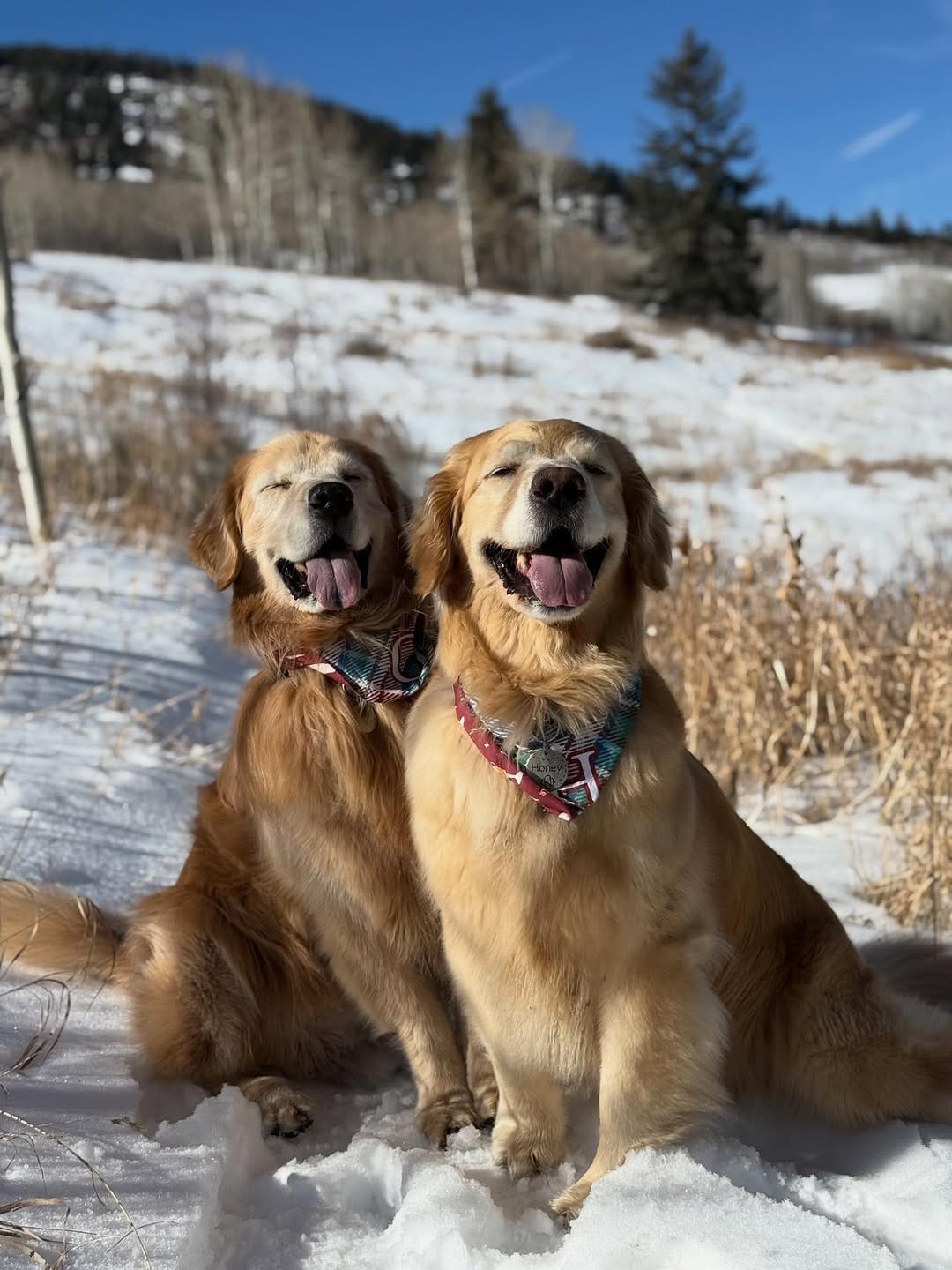 Post 2 by Oakley & Honey on Instagram (carousel)