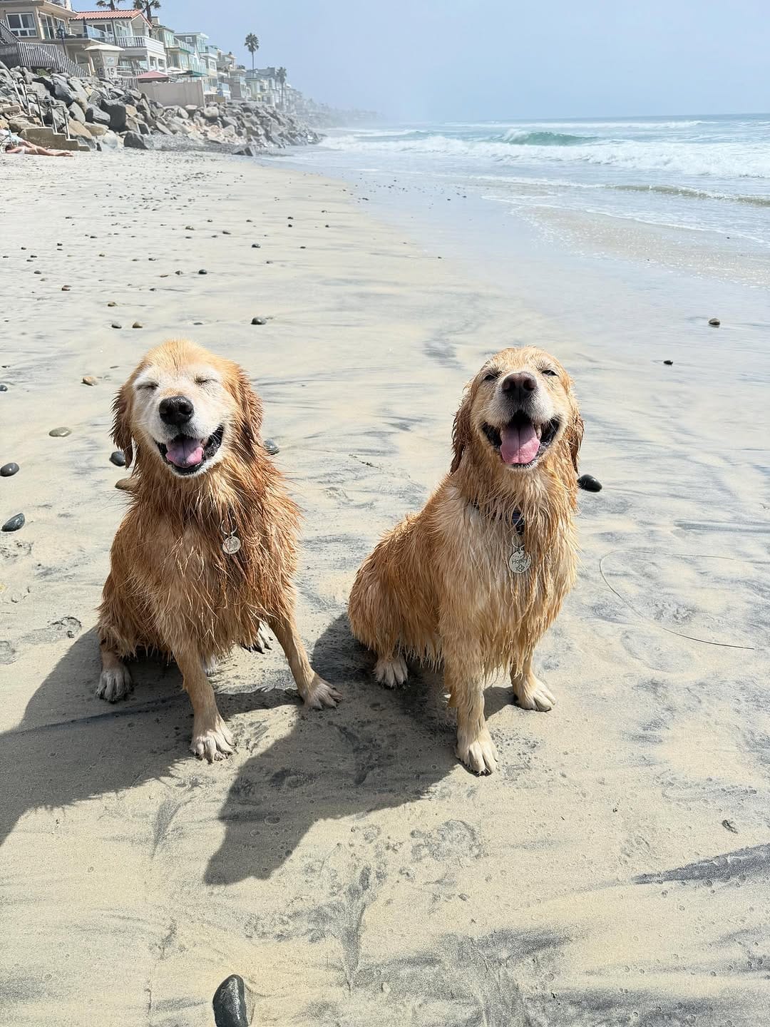 Post 7 by Oakley & Honey on Instagram (carousel)