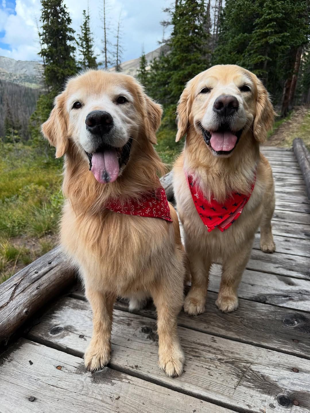 Post 9 by Oakley & Honey on Instagram (carousel)