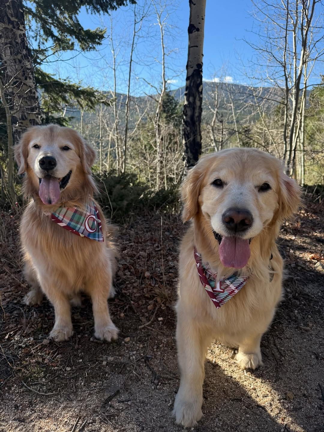 Post 3 by Oakley & Honey on Instagram (carousel)