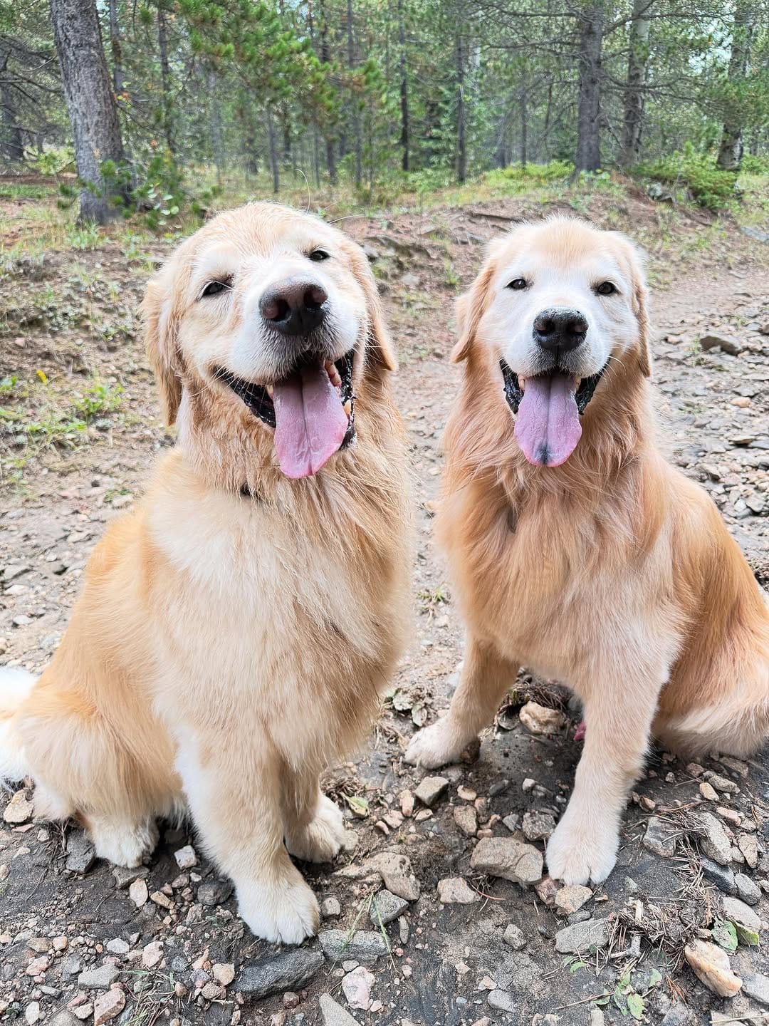 Post 10 by Oakley & Honey on Instagram (carousel)