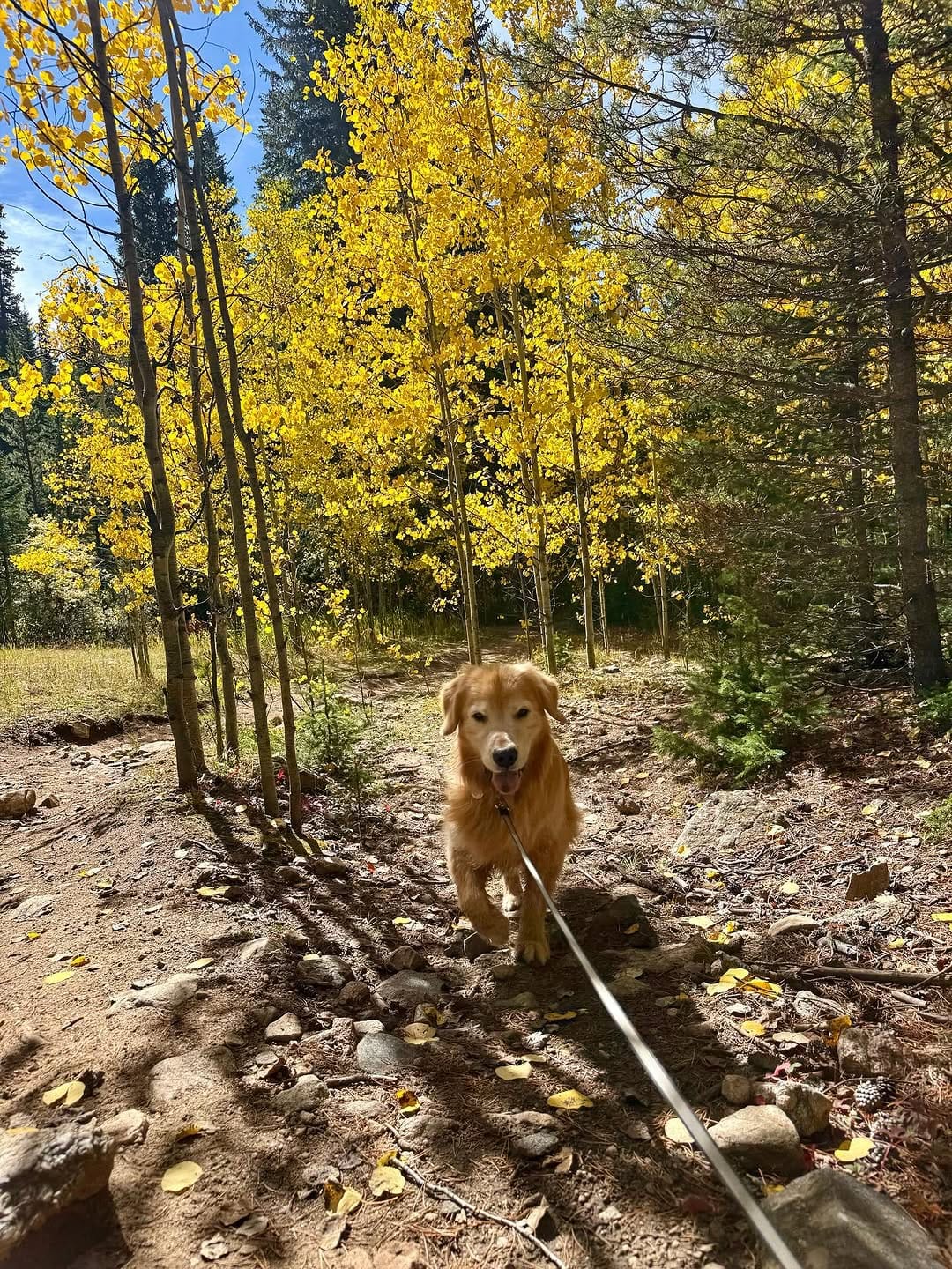 Post 6 by Oakley & Honey on Instagram (carousel)