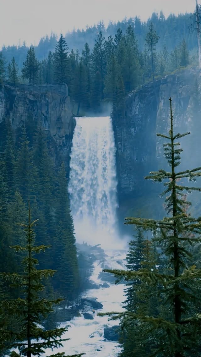 Post 6 by Ryan Resatka on Instagram (video)