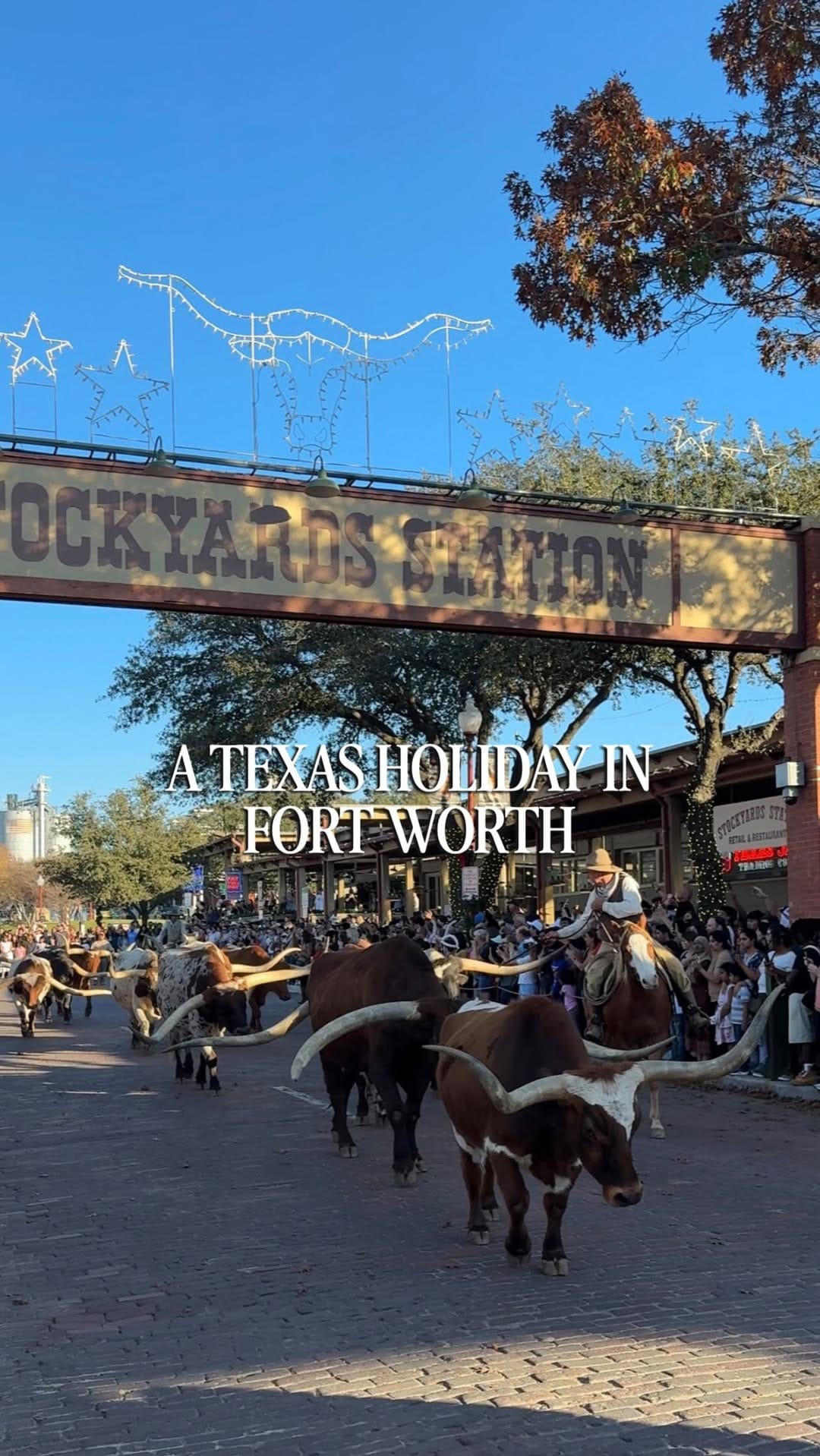 Post 4 by Becky | Texas Travel Blogger on Instagram (video)