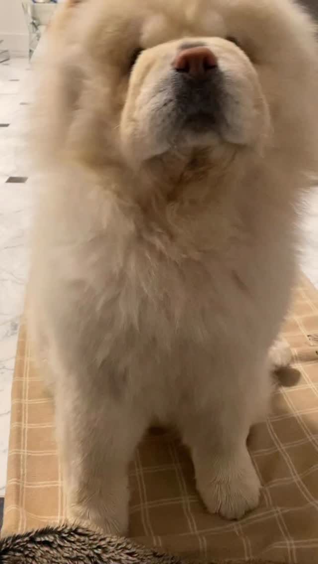 Post 1 by Cambridge on Instagram (video)