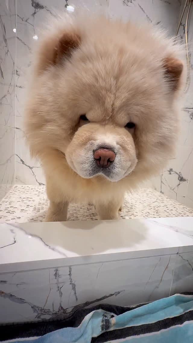 Post 7 by Cambridge on Instagram (video)