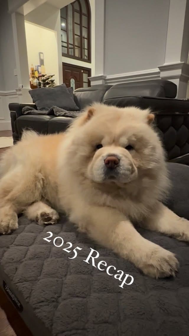 Post 9 by Cambridge on Instagram (video)