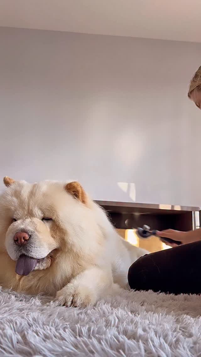 Post 6 by Cambridge on Instagram (video)