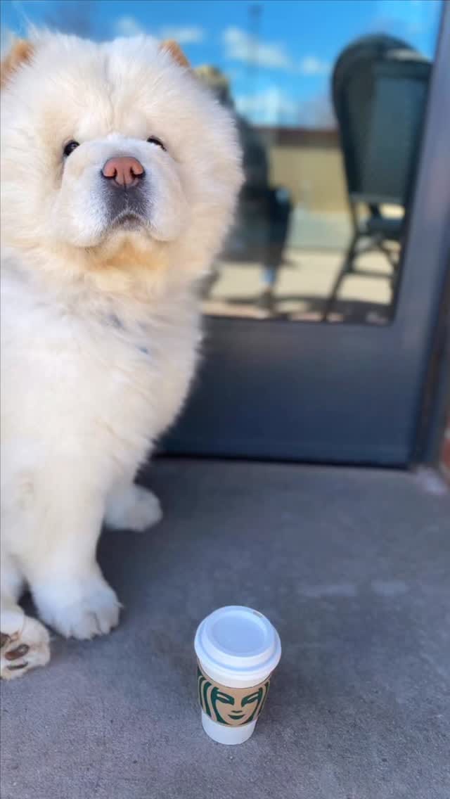 Post 2 by Cambridge on Instagram (video)