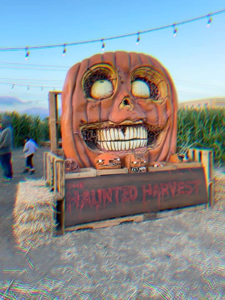 Post 10 by GAVIN DUH on Instagram (video)