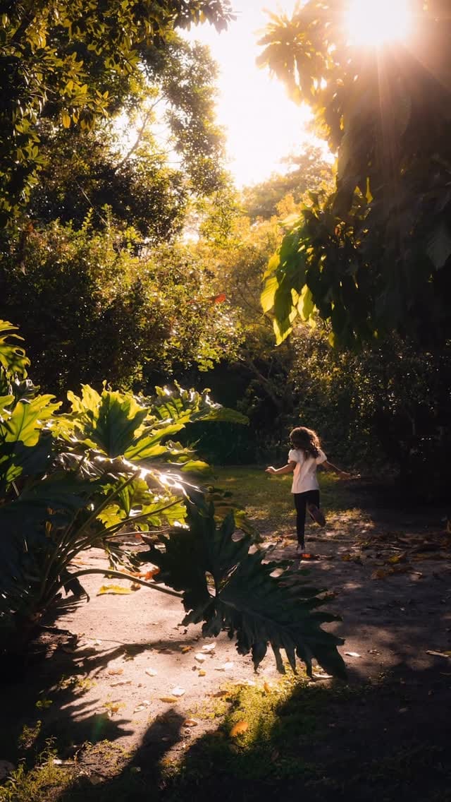 Post 4 by Chris Ha | Photography on Instagram (video)