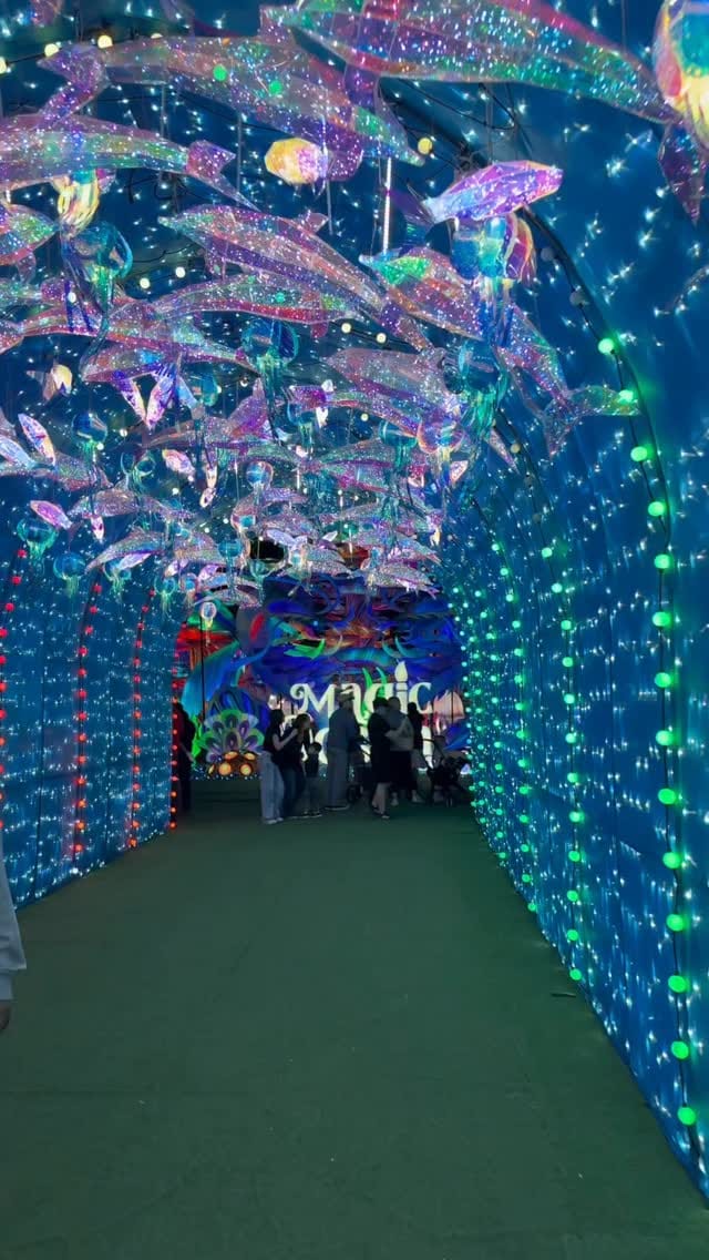 Post 7 by DailyDiva on Instagram (video)
