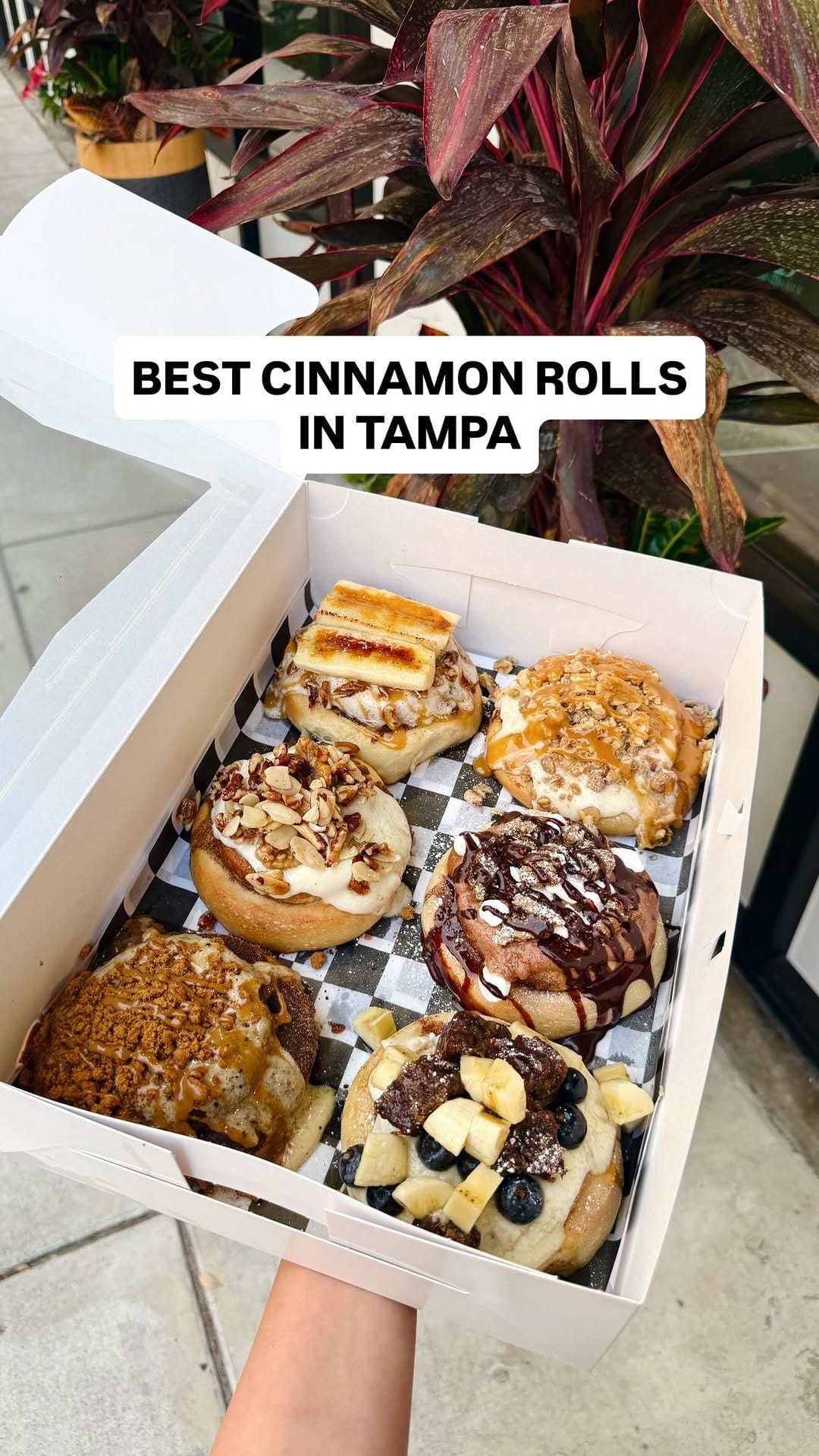 Post 4 by Tiana | Tampa Bay Explorer on Instagram (video)