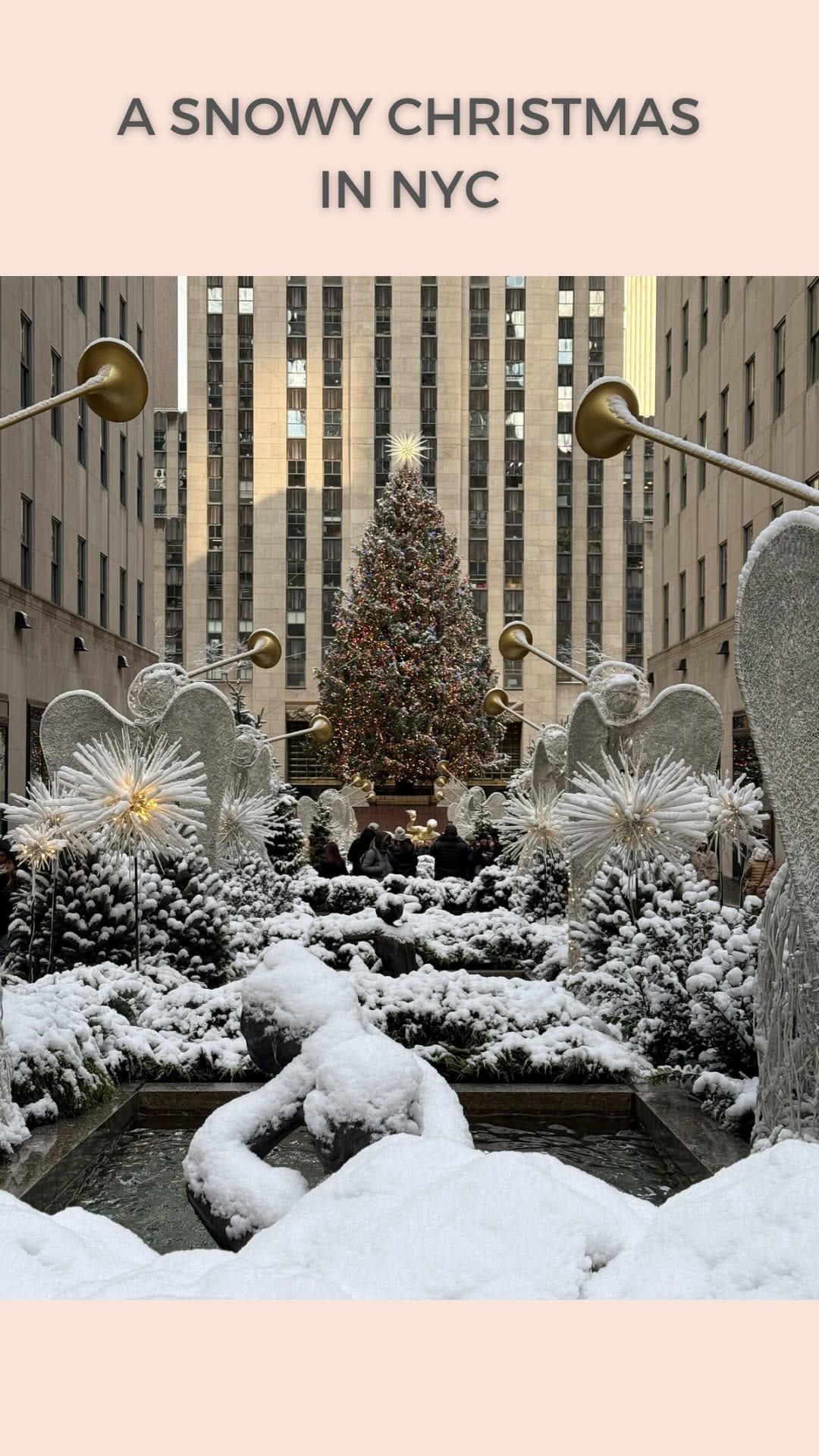 Post 8 by Tanmaya Godbole | New York City on Instagram (video)