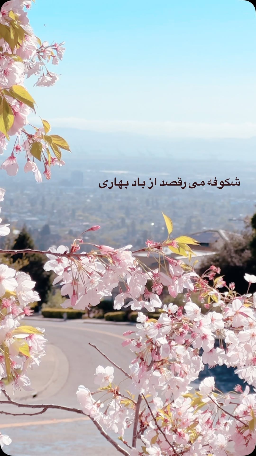Post 6 by Maryam || باهم سفر کنیم🎒 on Instagram (video)