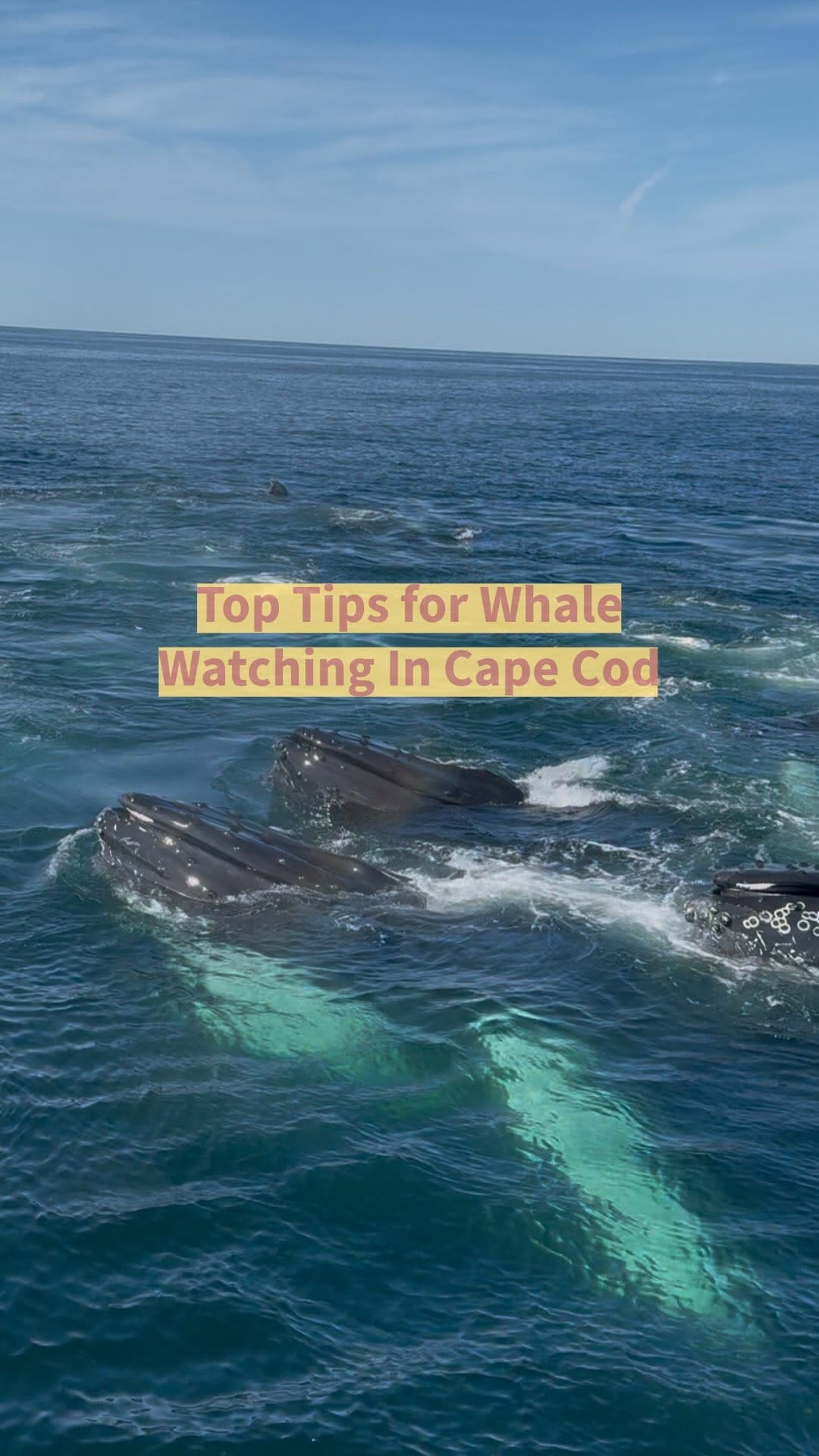 Post 8 by Karina Worldwide on Instagram (video)