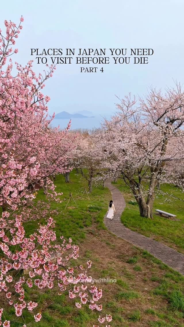 Post 4 by Lina Irwanto| San Francisco Travel & Lifestyle on Instagram (video)