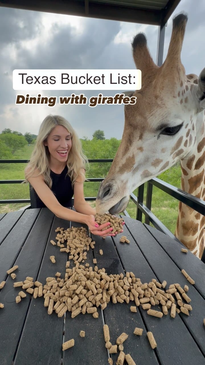 Post 10 by A Taste of Texas | Bethany Tucker on Instagram (video)