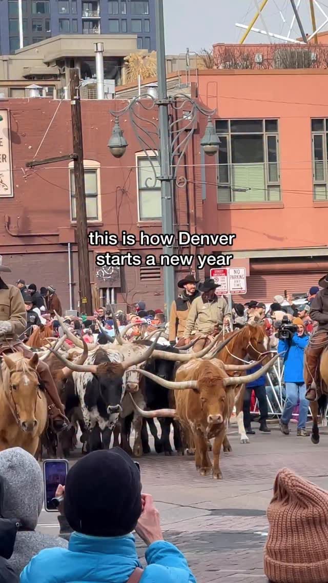 Post 4 by Amanda Bittner on Instagram (video)