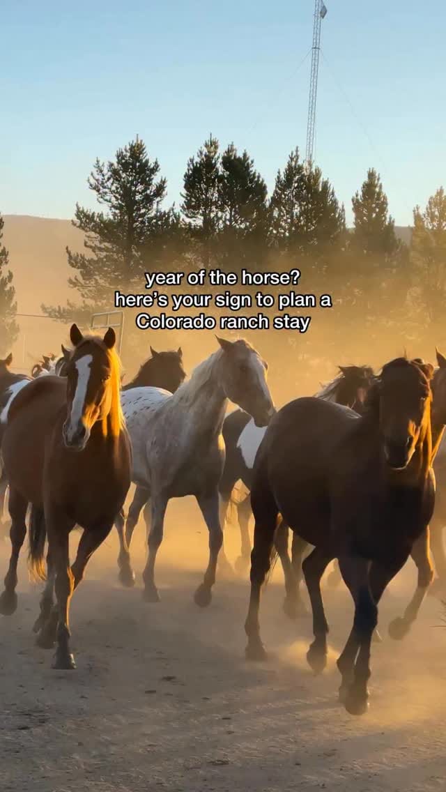 Post 3 by Amanda Bittner on Instagram (video)