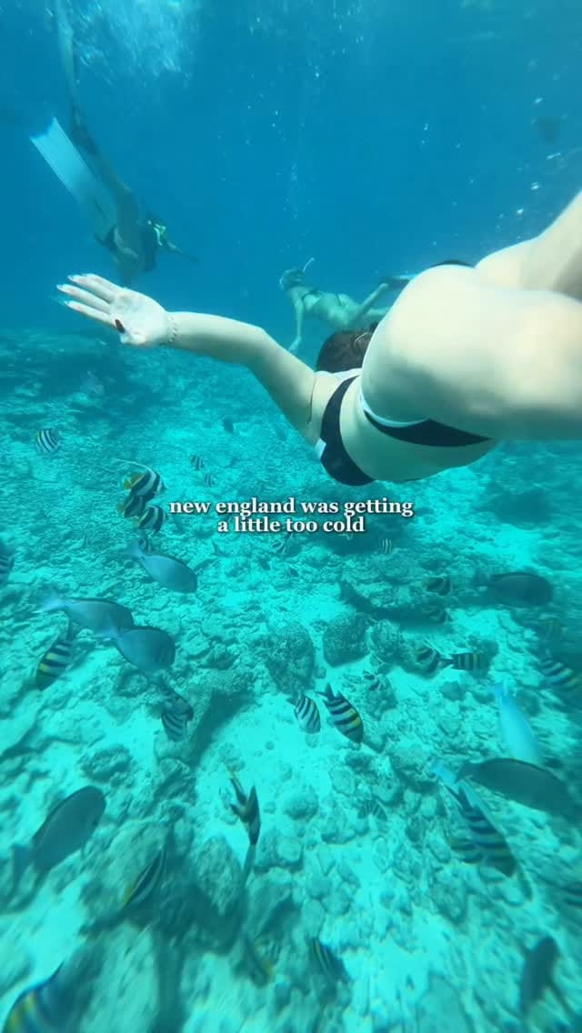 Post 6 by Kathleen R | Connecticut Bucket List on Instagram (video)