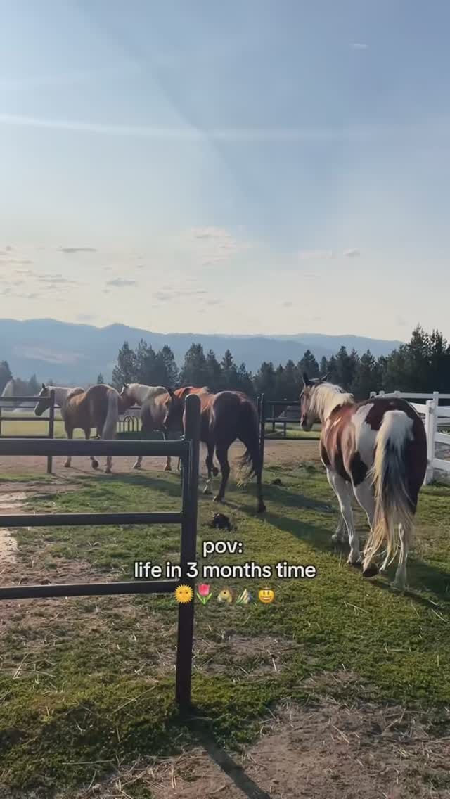 Post 4 by Ana ❀ Equestrian travel creator on Instagram (video)