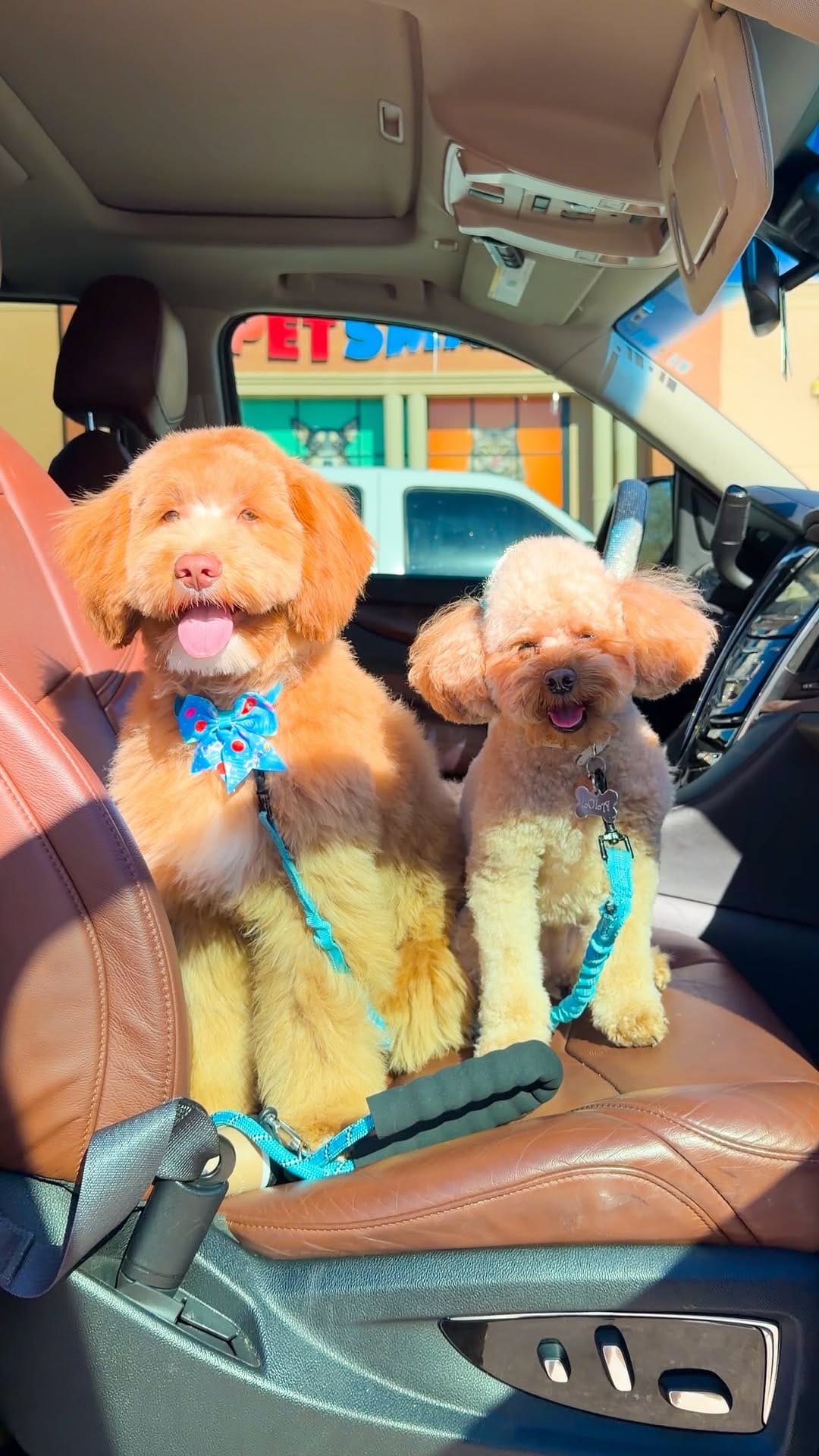 Post 1 by Alessandra | Dallas Travel & Lifestyle Creator on Instagram (video)