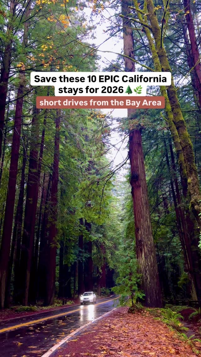 Post 6 by Nell Narasappa | California Travel & Outdoor Adventure on Instagram (video)