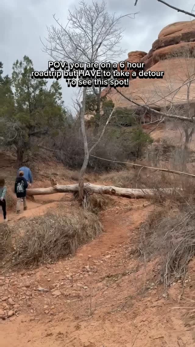 Post 1 by Rebecca Hrabar on Instagram (video)