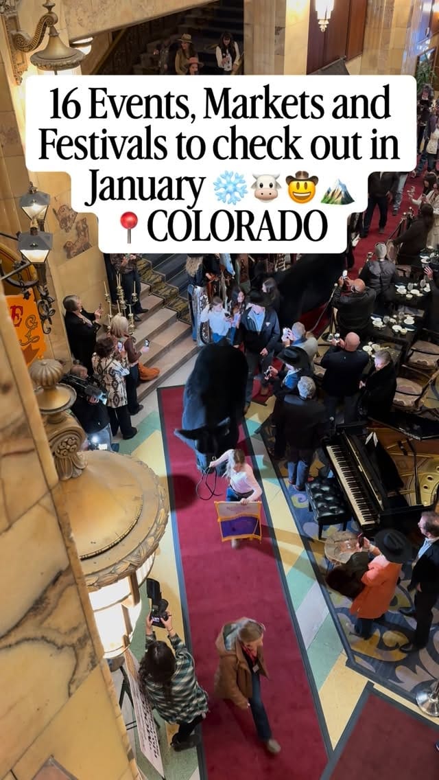 Post 9 by Emily Buchtel on Instagram (video)