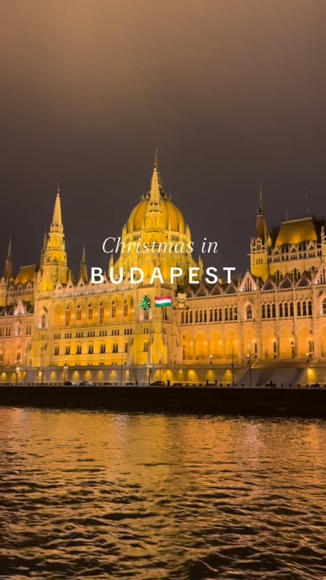 Post 7 by Julie Zhang on Instagram (video)