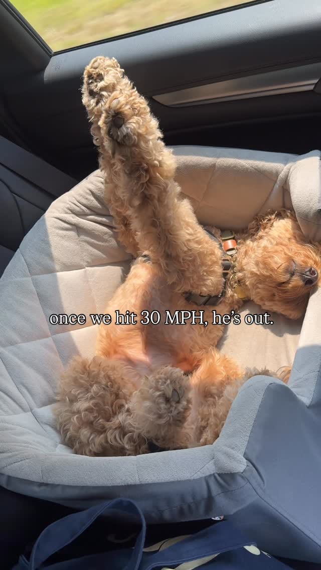 Post 8 by Brooks & Cassidy on Instagram (video)