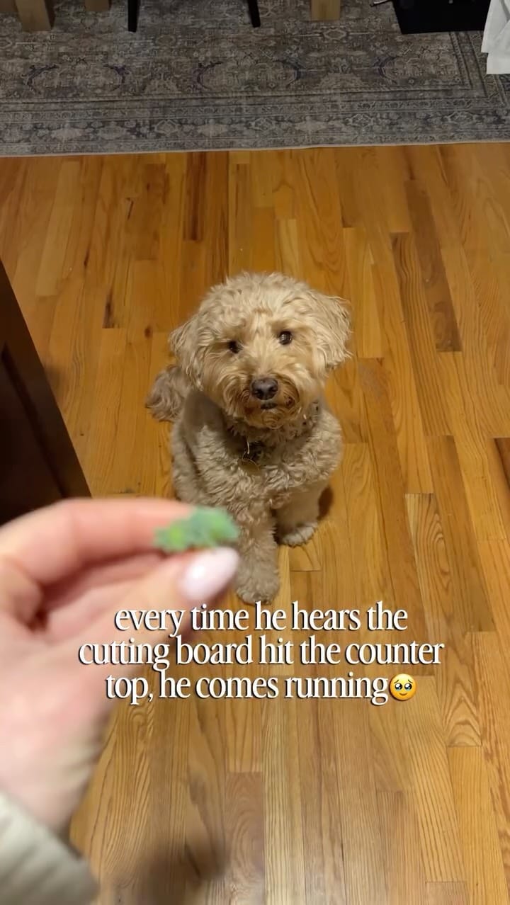 Post 2 by Brooks & Cassidy on Instagram (video)