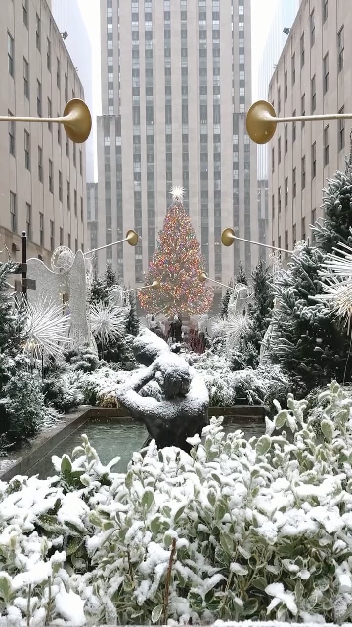 Post 2 by Gosia Brzostowski📍New York City & Travel on Instagram (video)