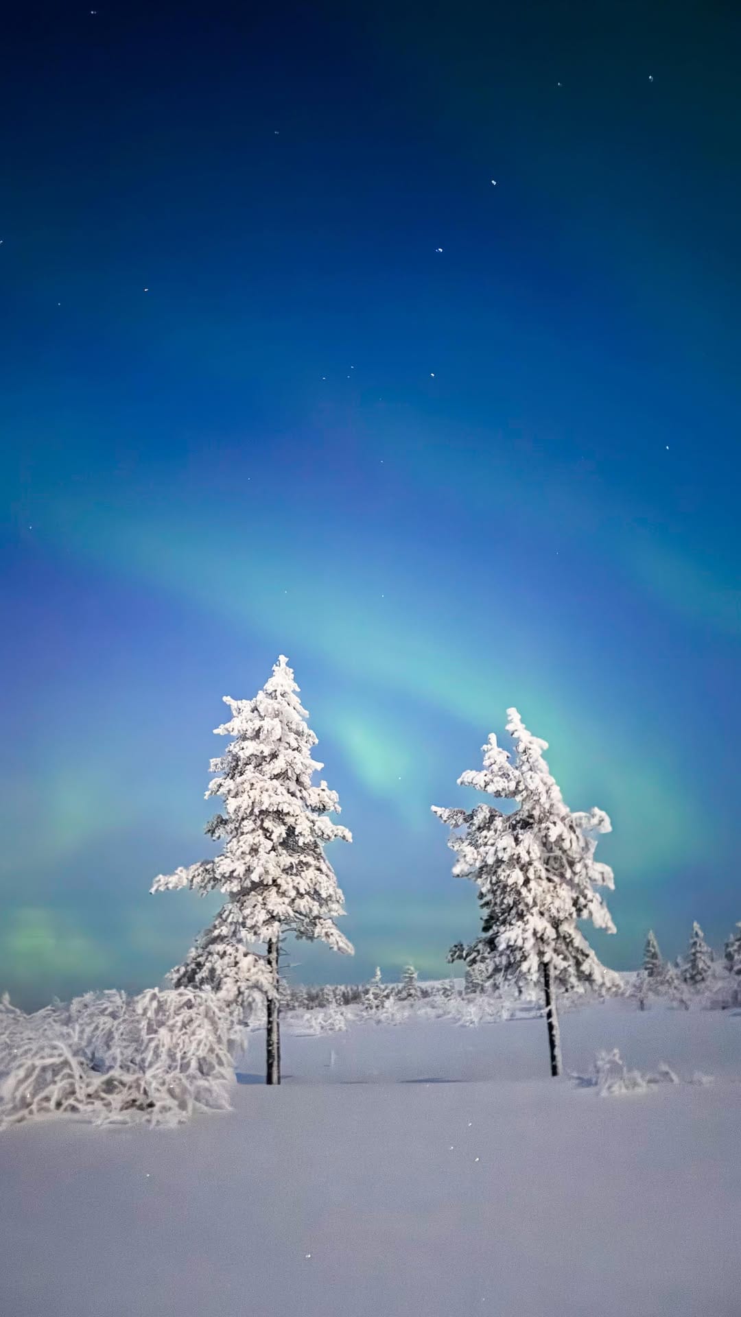 Post 10 by Dave & Joce | Travel Creators on Instagram (video)
