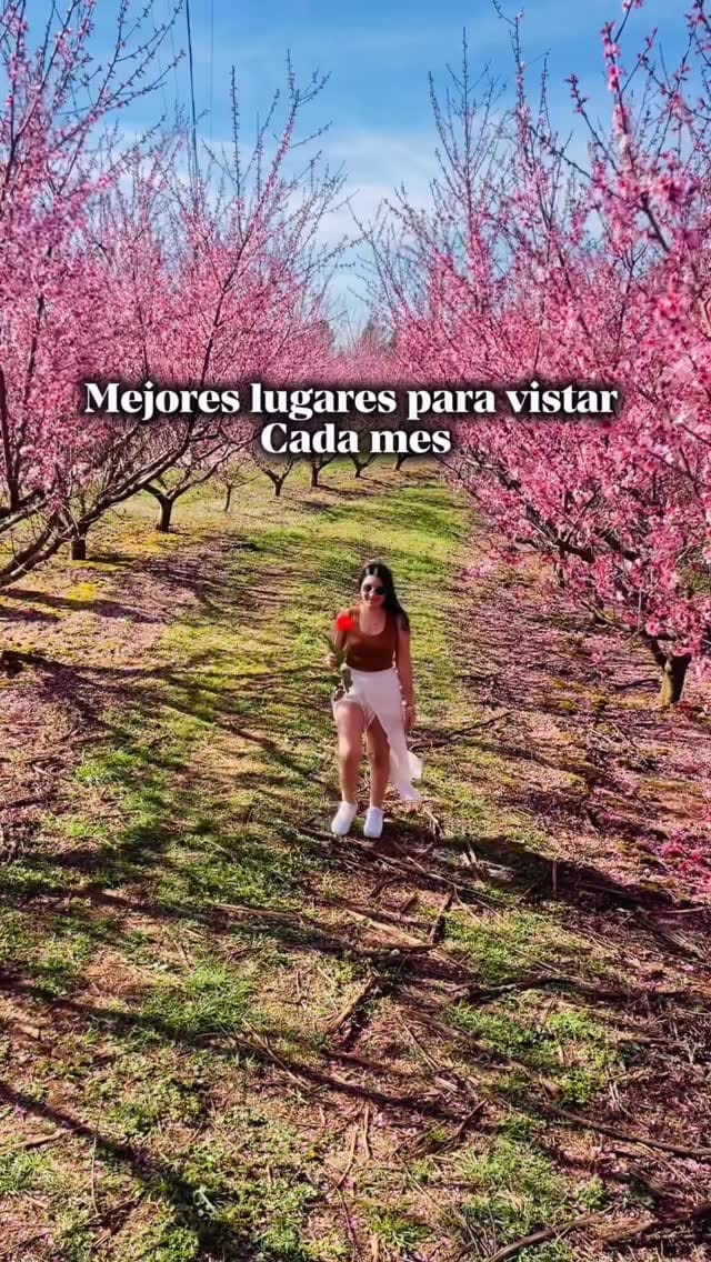 Post 6 by Mαry Mαтнєus ✈️ 🌎 on Instagram (video)