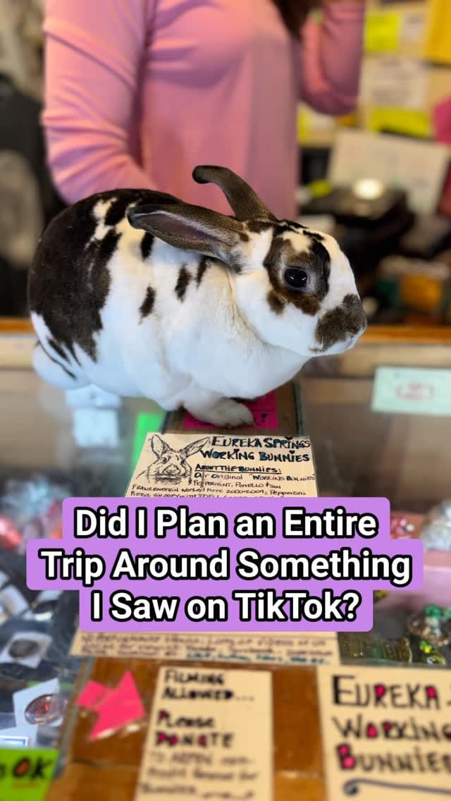 Post 2 by Travel & Food ✈️ Lauren Monitz Durie on Instagram (video)