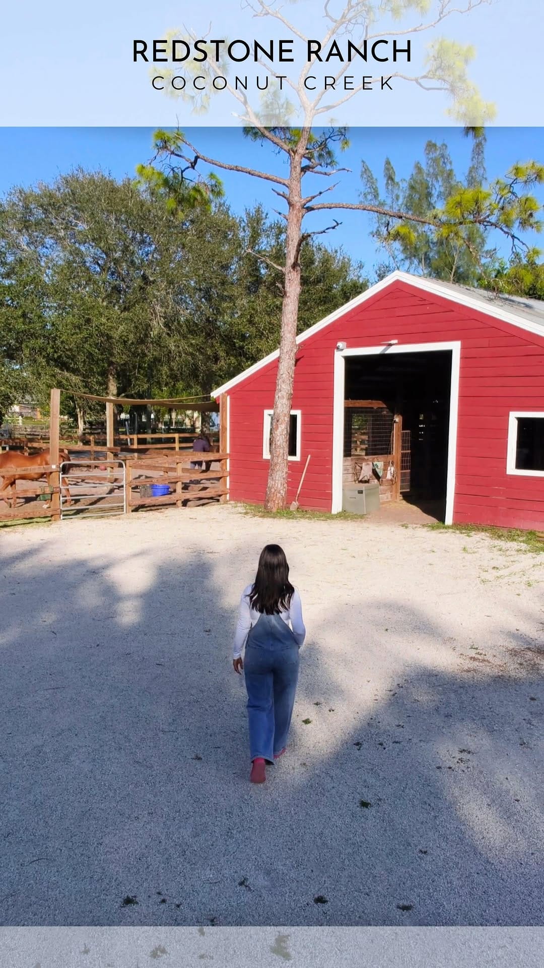 Post 3 by Ara Ayala | Travel & Food | FL on Instagram (video)